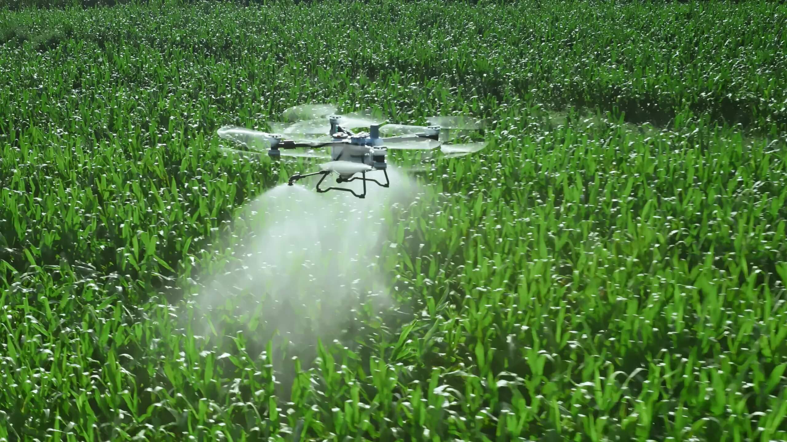 DJI Agras T100 in a crop-spraying configuration. The bare-aircraft listing requires the spraying system separately.